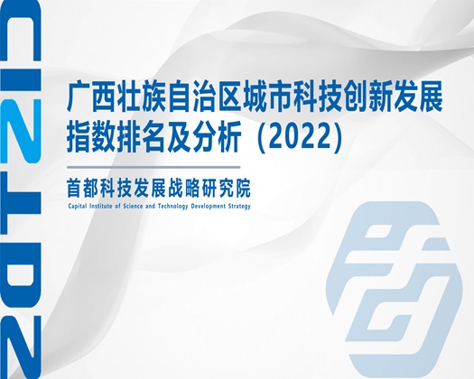 小美女操遭电影【成果发布】广西壮族自治区城市科技创新发展指数排名及分析（2022）